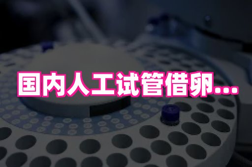 南昌助孕网 4